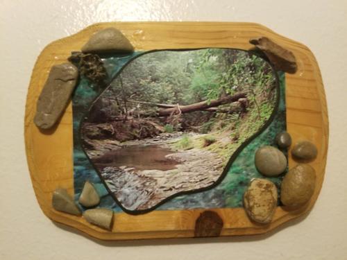 Multimedia Art Redwood Forest
