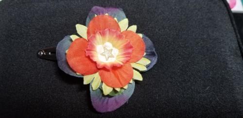 Flower Barrette Multicolored Star Center