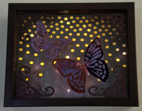 Illumiscape Butterflies Nighttime